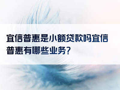 宜信普惠是小额贷款吗宜信普惠有哪些业务？