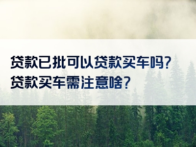 贷款已批可以贷款买车吗？贷款买车需注意啥？