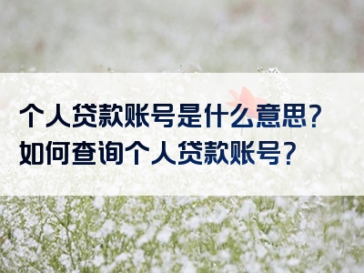 个人贷款账号是什么意思？如何查询个人贷款账号？