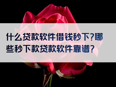 什么贷款软件借钱秒下？哪些秒下款贷款软件靠谱？