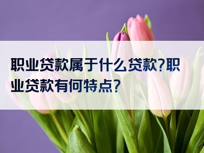 职业贷款属于什么贷款？职业贷款有何特点？