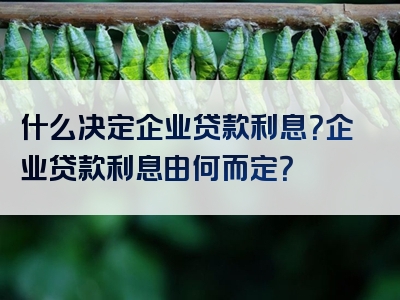 什么决定企业贷款利息？企业贷款利息由何而定？