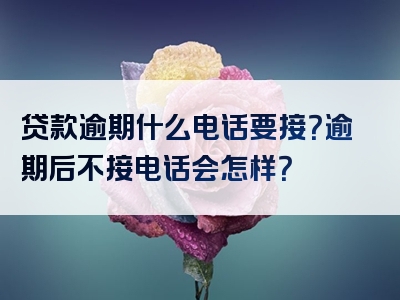 贷款逾期什么电话要接？逾期后不接电话会怎样？