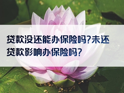 贷款没还能办保险吗？未还贷款影响办保险吗？