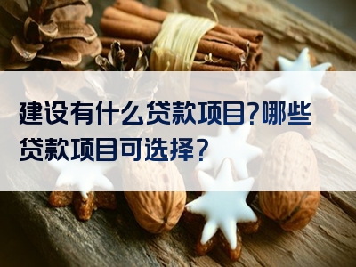 建设有什么贷款项目？哪些贷款项目可选择？