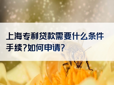 上海专利贷款需要什么条件手续？如何申请？