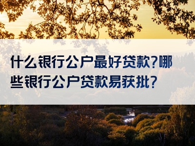 什么银行公户最好贷款？哪些银行公户贷款易获批？