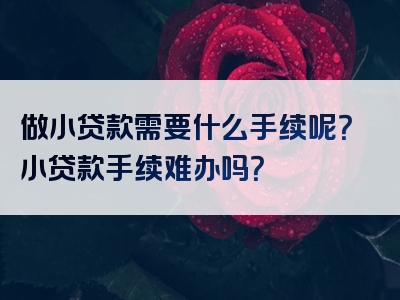 做小贷款需要什么手续呢？小贷款手续难办吗？