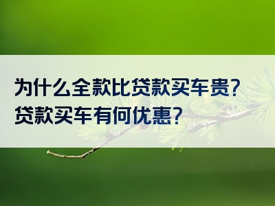 为什么全款比贷款买车贵？贷款买车有何优惠？