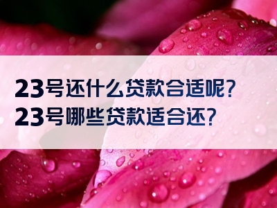 23号还什么贷款合适呢？23号哪些贷款适合还？