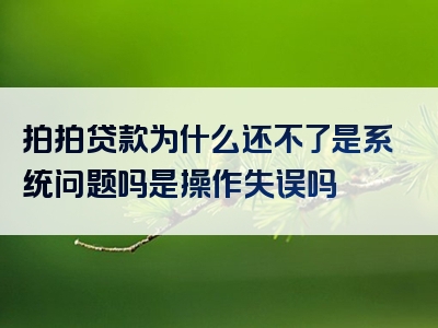 拍拍贷款为什么还不了是系统问题吗是操作失误吗