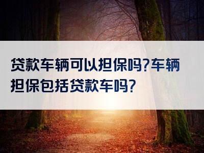 贷款车辆可以担保吗？车辆担保包括贷款车吗？