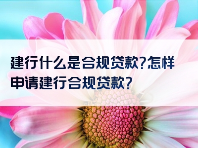 建行什么是合规贷款？怎样申请建行合规贷款？