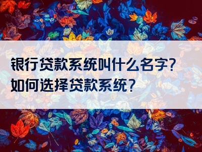 银行贷款系统叫什么名字？如何选择贷款系统？