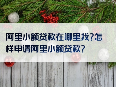 阿里小额贷款在哪里找？怎样申请阿里小额贷款？