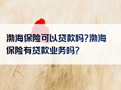 渤海保险可以贷款吗？渤海保险有贷款业务吗？