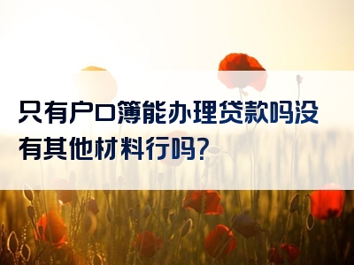 只有户口簿能办理贷款吗没有其他材料行吗？