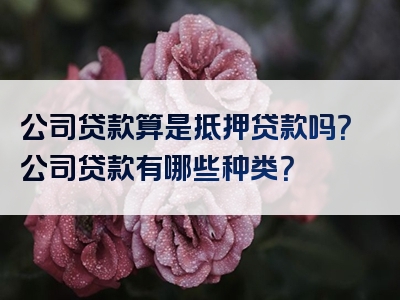 公司贷款算是抵押贷款吗？公司贷款有哪些种类？