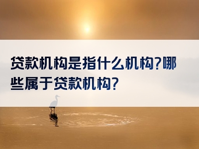 贷款机构是指什么机构？哪些属于贷款机构？