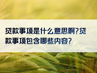 贷款事项是什么意思啊？贷款事项包含哪些内容？