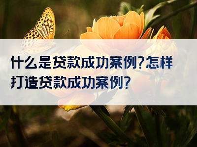 什么是贷款成功案例？怎样打造贷款成功案例？