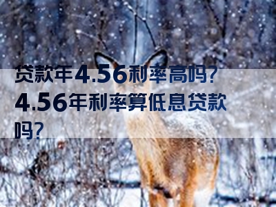 贷款年4.56利率高吗？4.56年利率算低息贷款吗？