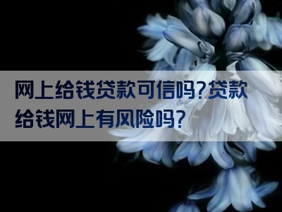 网上给钱贷款可信吗？贷款给钱网上有风险吗？