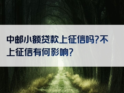 中邮小额贷款上征信吗？不上征信有何影响？