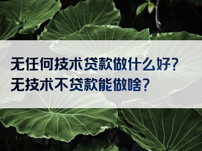 无任何技术贷款做什么好？无技术不贷款能做啥？