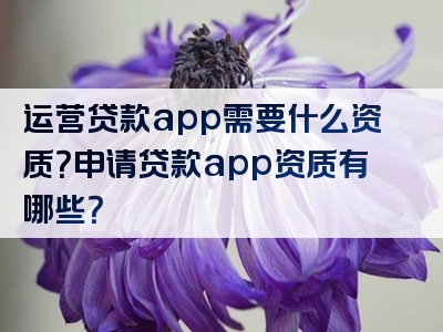 运营贷款app需要什么资质？申请贷款app资质有哪些？