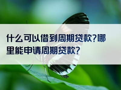 什么可以借到周期贷款？哪里能申请周期贷款？