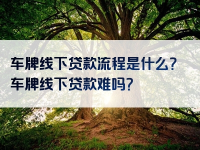 车牌线下贷款流程是什么？车牌线下贷款难吗？