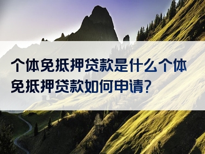 个体免抵押贷款是什么个体免抵押贷款如何申请？