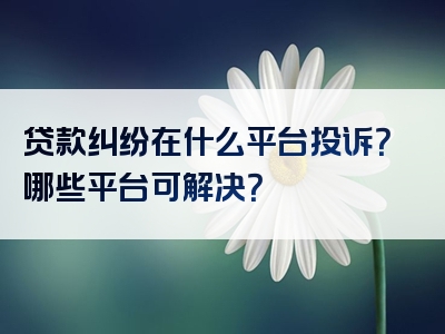 贷款纠纷在什么平台投诉？哪些平台可解决？