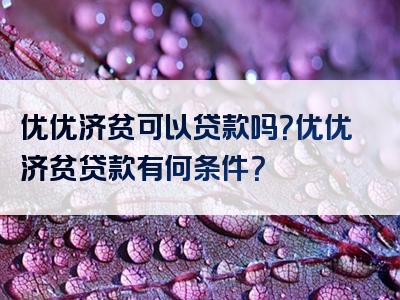 优优济贫可以贷款吗？优优济贫贷款有何条件？