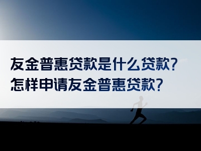 友金普惠贷款是什么贷款？怎样申请友金普惠贷款？