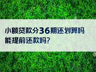 小额贷款分36期还划算吗能提前还款吗？