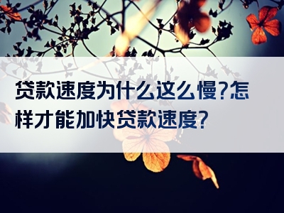 贷款速度为什么这么慢？怎样才能加快贷款速度？