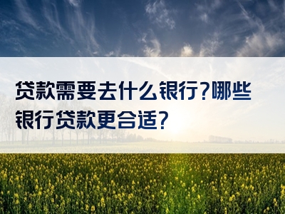 贷款需要去什么银行？哪些银行贷款更合适？