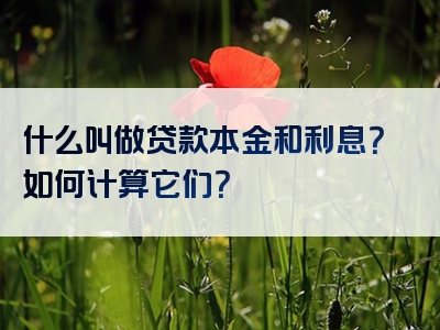 什么叫做贷款本金和利息？如何计算它们？