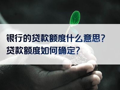 银行的贷款额度什么意思？贷款额度如何确定？