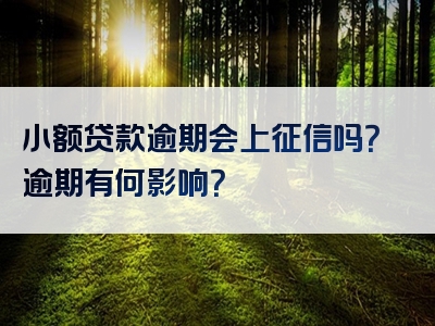 小额贷款逾期会上征信吗？逾期有何影响？