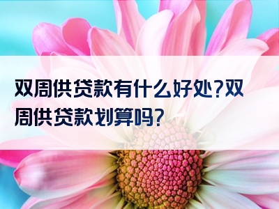 双周供贷款有什么好处？双周供贷款划算吗？