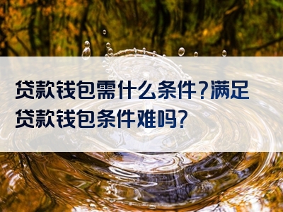 贷款钱包需什么条件？满足贷款钱包条件难吗？