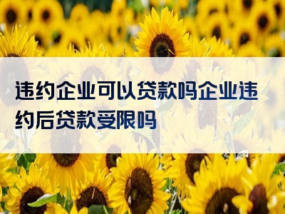 违约企业可以贷款吗企业违约后贷款受限吗