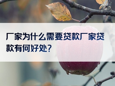 厂家为什么需要贷款厂家贷款有何好处？