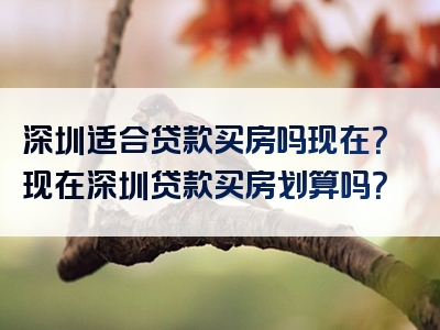 深圳适合贷款买房吗现在？现在深圳贷款买房划算吗？