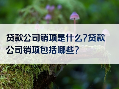 贷款公司销项是什么？贷款公司销项包括哪些？