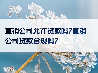 直销公司允许贷款吗？直销公司贷款合规吗？