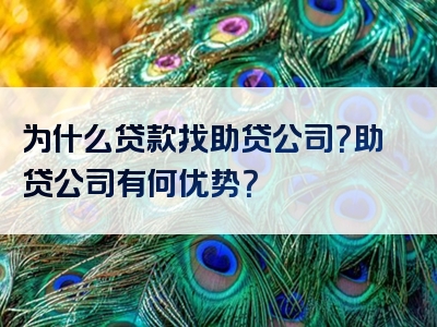 为什么贷款找助贷公司？助贷公司有何优势？